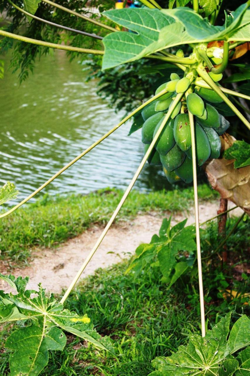 산타마르타 Cabanas Ecoturisticas Y Club Gaira Tayrona 빌라 외부 사진