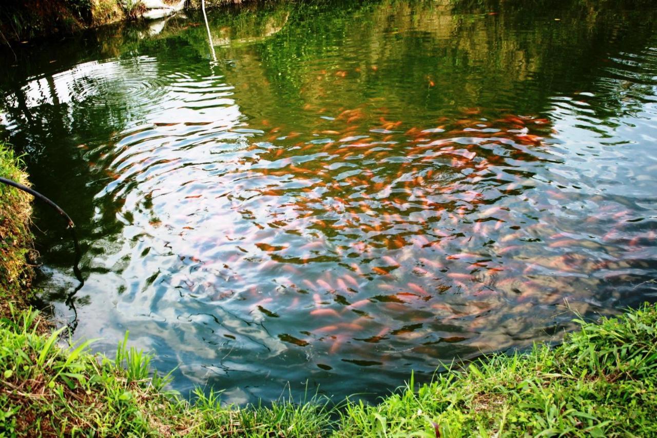 산타마르타 Cabanas Ecoturisticas Y Club Gaira Tayrona 빌라 외부 사진